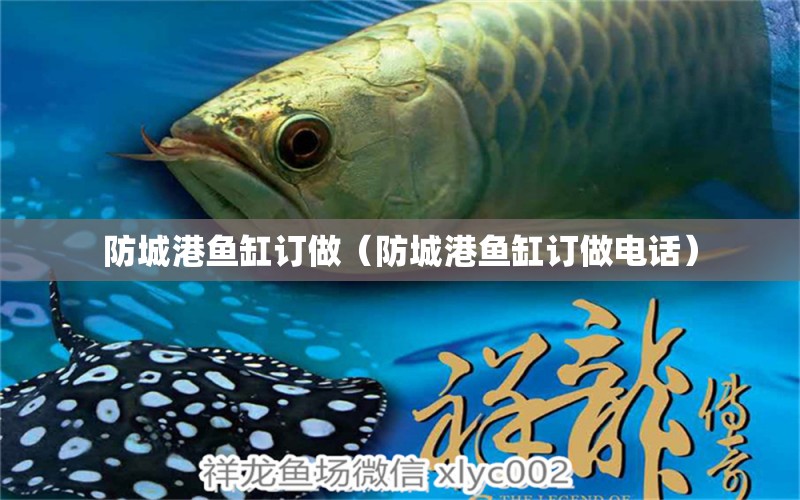 防城港魚(yú)缸訂做（防城港魚(yú)缸訂做電話）