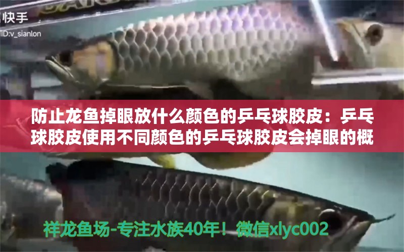 防止龍魚掉眼放什么顏色的乒乓球膠皮：乒乓球膠皮使用不同顏色的乒乓球膠皮會掉眼的概率 水族問答 第2張