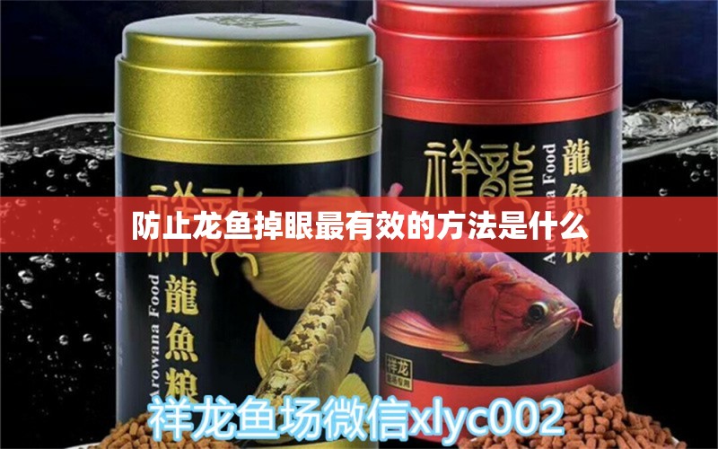 防止龍魚掉眼最有效的方法是什么 水族問(wèn)答 第1張