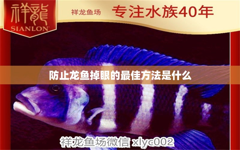 防止龍魚(yú)掉眼的最佳方法是什么 水族問(wèn)答 第2張