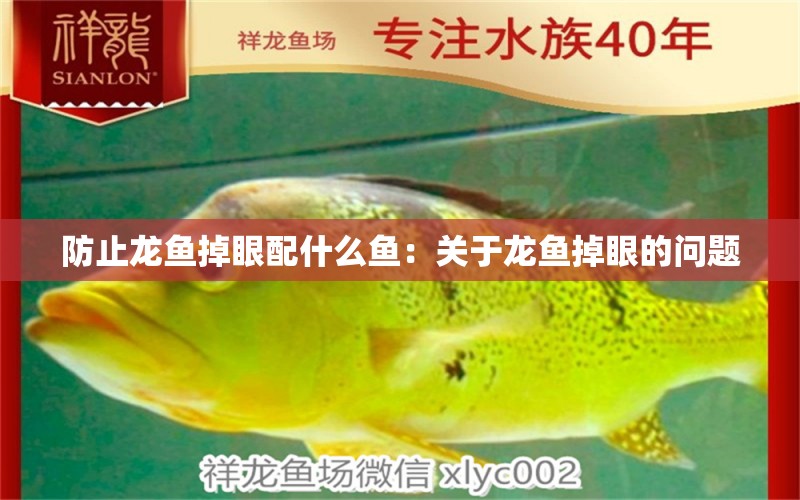 防止龍魚掉眼配什么魚：關(guān)于龍魚掉眼的問題 水族問答 第1張