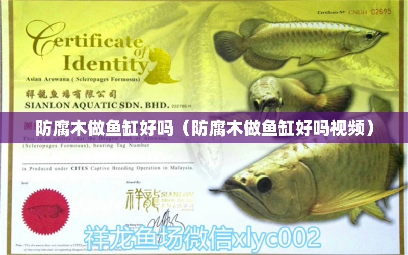 防腐木做魚缸好嗎（防腐木做魚缸好嗎視頻） 其他品牌魚缸