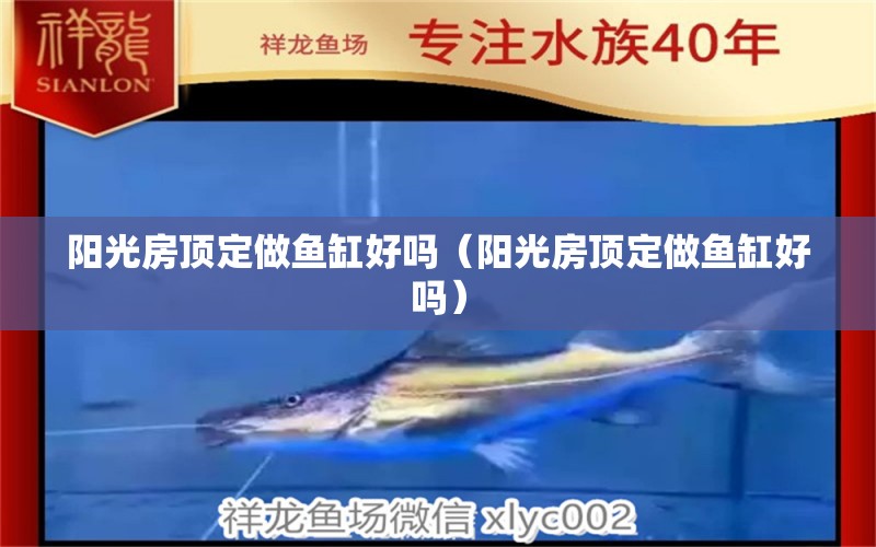 陽(yáng)光房頂定做魚(yú)缸好嗎（陽(yáng)光房頂定做魚(yú)缸好嗎） PH調(diào)節(jié)劑