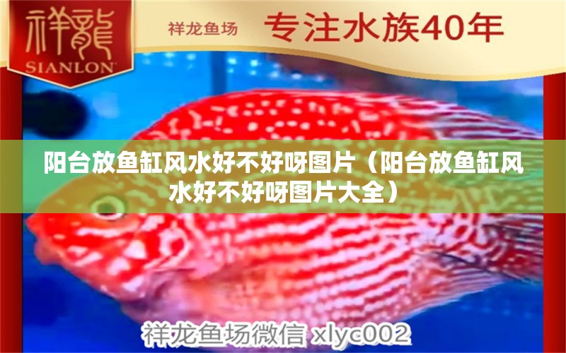 陽臺放魚缸風(fēng)水好不好呀圖片（陽臺放魚缸風(fēng)水好不好呀圖片大全） 魚缸風(fēng)水