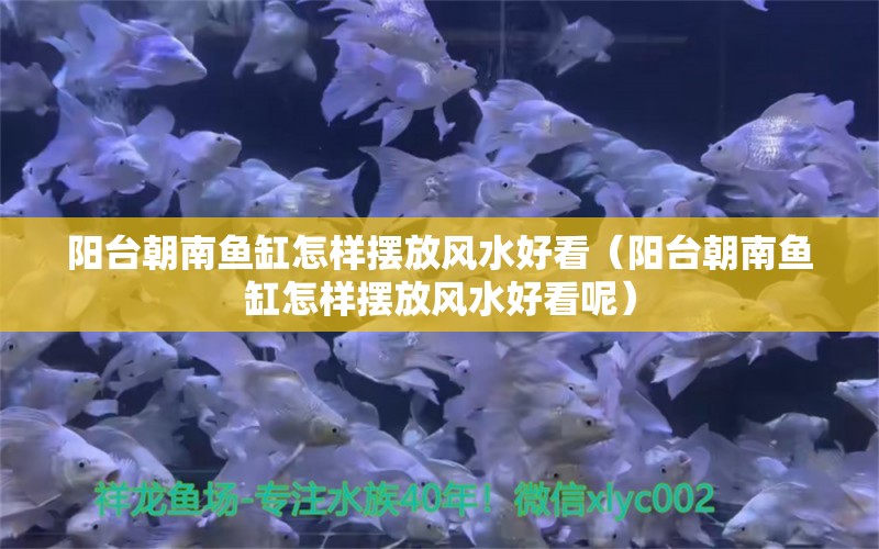 陽臺朝南魚缸怎樣擺放風(fēng)水好看（陽臺朝南魚缸怎樣擺放風(fēng)水好看呢） 銀河星鉆魚