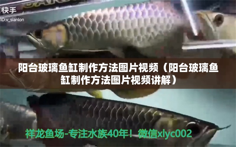 陽臺玻璃魚缸制作方法圖片視頻（陽臺玻璃魚缸制作方法圖片視頻講解） 進(jìn)口元寶鳳凰魚