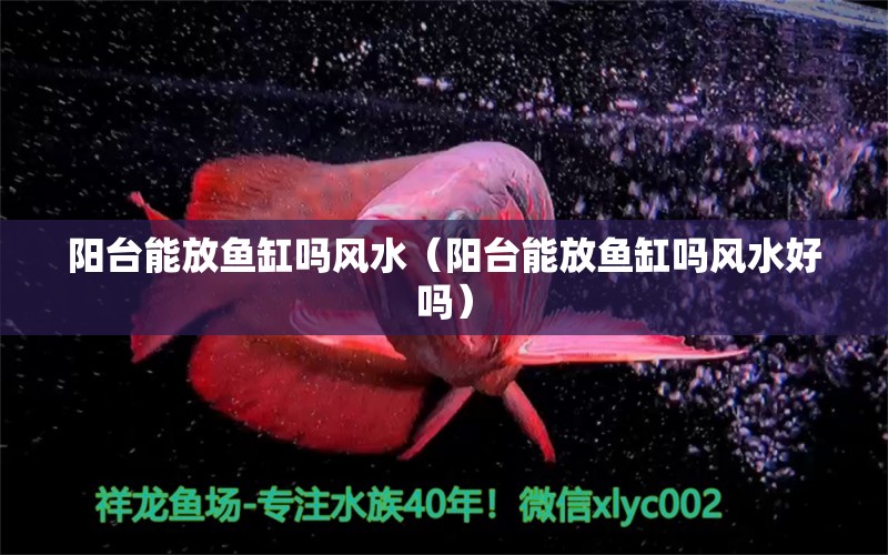 陽(yáng)臺(tái)能放魚缸嗎風(fēng)水（陽(yáng)臺(tái)能放魚缸嗎風(fēng)水好嗎）