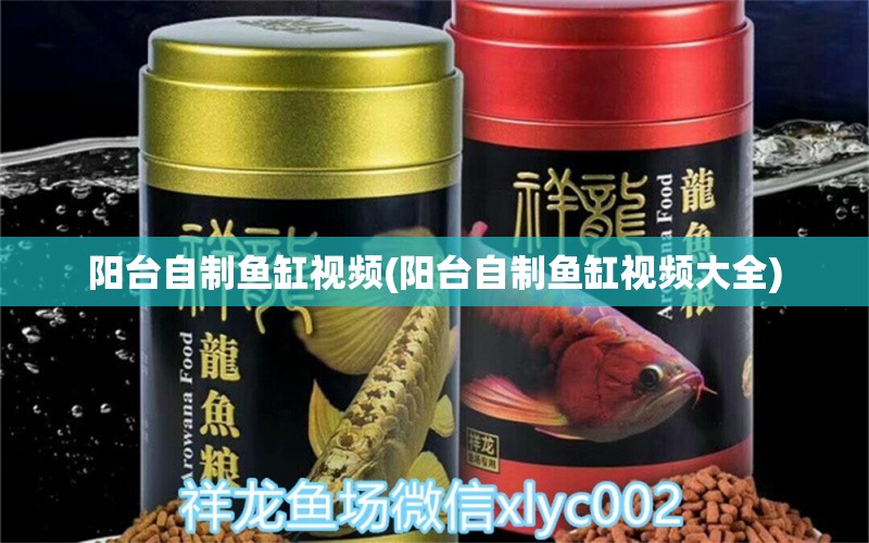 陽臺自制魚缸視頻(陽臺自制魚缸視頻大全)