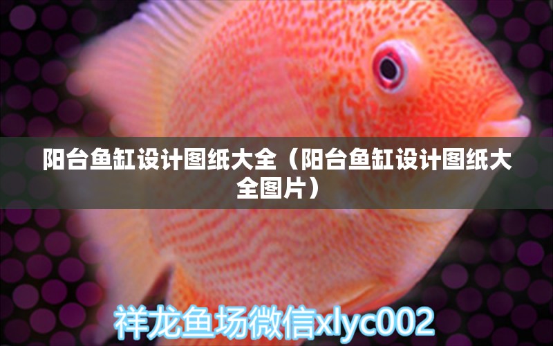 陽臺(tái)魚缸設(shè)計(jì)圖紙大全（陽臺(tái)魚缸設(shè)計(jì)圖紙大全圖片） 觀賞魚市場（混養(yǎng)魚）