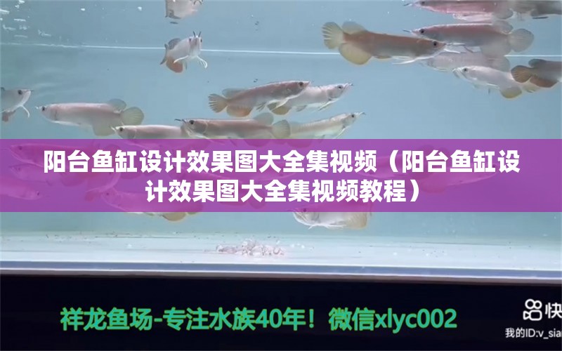 陽臺魚缸設(shè)計效果圖大全集視頻（陽臺魚缸設(shè)計效果圖大全集視頻教程） 觀賞魚