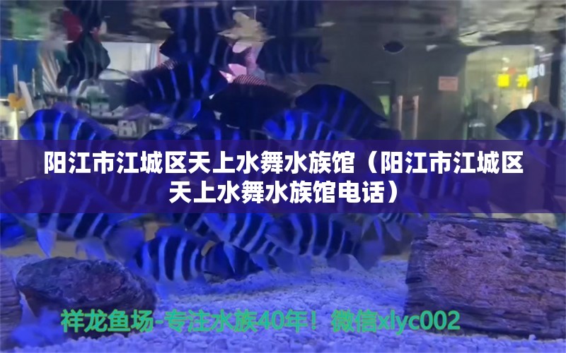 陽江市江城區(qū)天上水舞水族館（陽江市江城區(qū)天上水舞水族館電話） 全國水族館企業(yè)名錄