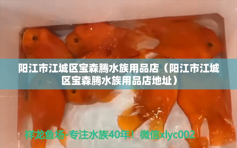 陽江市江城區(qū)寶森騰水族用品店（陽江市江城區(qū)寶森騰水族用品店地址） 水族用品