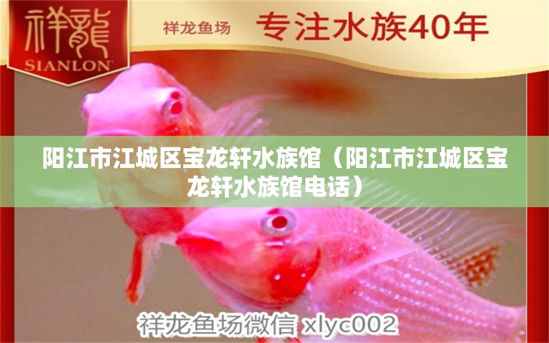 陽江市江城區(qū)寶龍軒水族館（陽江市江城區(qū)寶龍軒水族館電話）