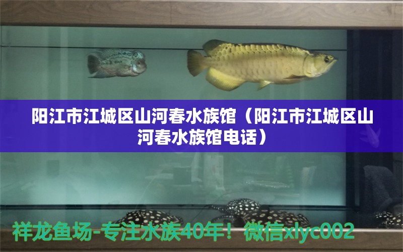 陽江市江城區(qū)山河春水族館（陽江市江城區(qū)山河春水族館電話）