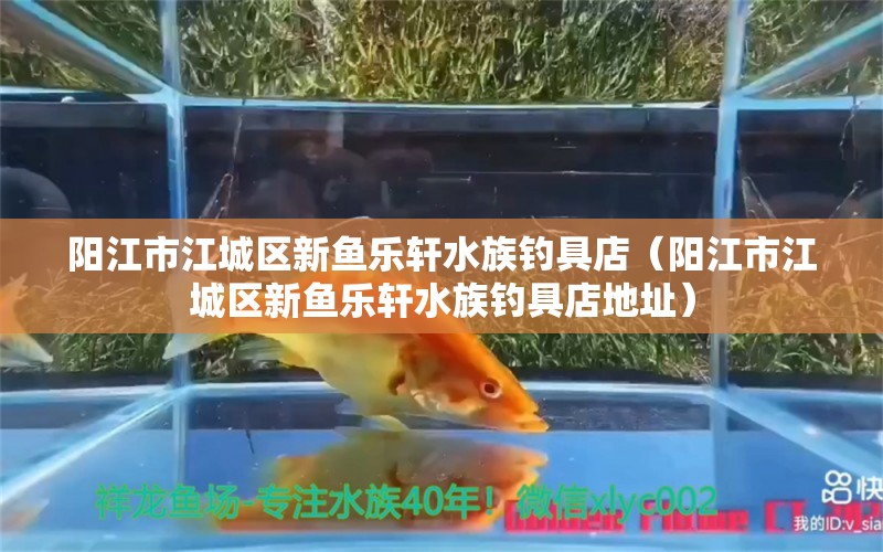 陽江市江城區(qū)新魚樂軒水族釣具店（陽江市江城區(qū)新魚樂軒水族釣具店地址）