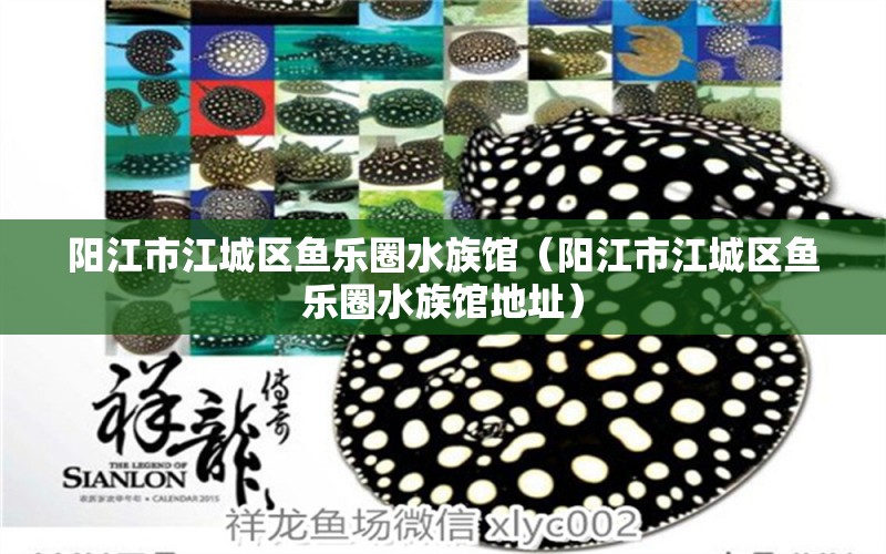 陽(yáng)江市江城區(qū)魚樂(lè)圈水族館（陽(yáng)江市江城區(qū)魚樂(lè)圈水族館地址） 全國(guó)水族館企業(yè)名錄