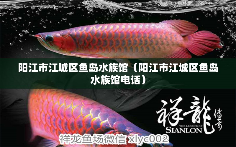 陽江市江城區(qū)魚島水族館（陽江市江城區(qū)魚島水族館電話） 全國水族館企業(yè)名錄