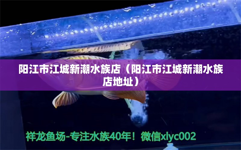 陽江市江城新潮水族店（陽江市江城新潮水族店地址） 全國水族館企業(yè)名錄