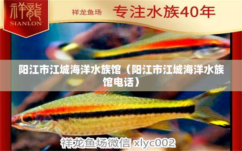 陽(yáng)江市江城海洋水族館（陽(yáng)江市江城海洋水族館電話）