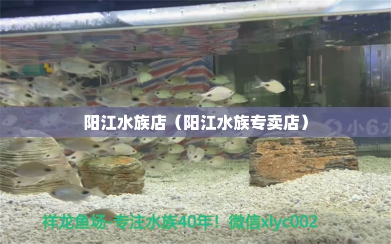 陽江水族店（陽江水族專賣店）