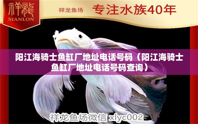 陽江海騎士魚缸廠地址電話號碼（陽江海騎士魚缸廠地址電話號碼查詢）