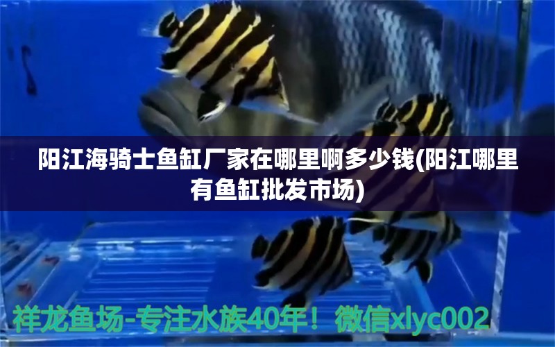 陽(yáng)江海騎士魚(yú)缸廠家在哪里啊多少錢(陽(yáng)江哪里有魚(yú)缸批發(fā)市場(chǎng)) 水草 第1張