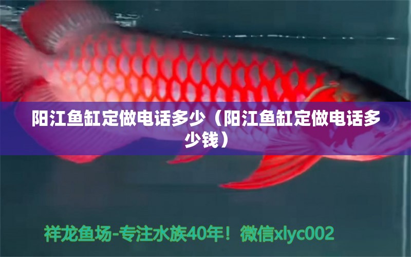 陽江魚缸定做電話多少（陽江魚缸定做電話多少錢）