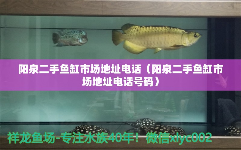 陽(yáng)泉二手魚缸市場(chǎng)地址電話（陽(yáng)泉二手魚缸市場(chǎng)地址電話號(hào)碼）