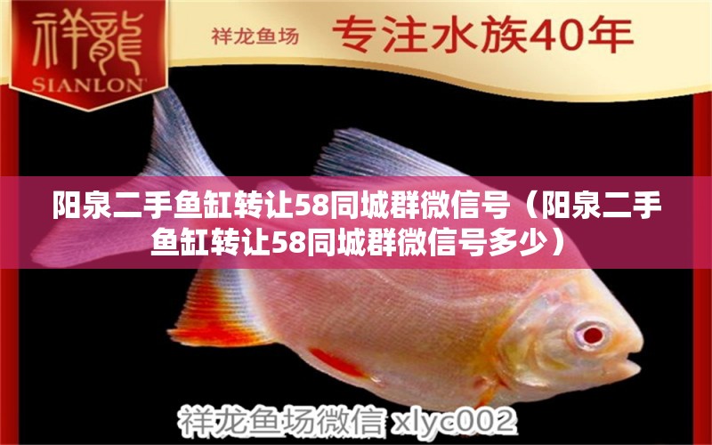 陽(yáng)泉二手魚缸轉(zhuǎn)讓58同城群微信號(hào)（陽(yáng)泉二手魚缸轉(zhuǎn)讓58同城群微信號(hào)多少）