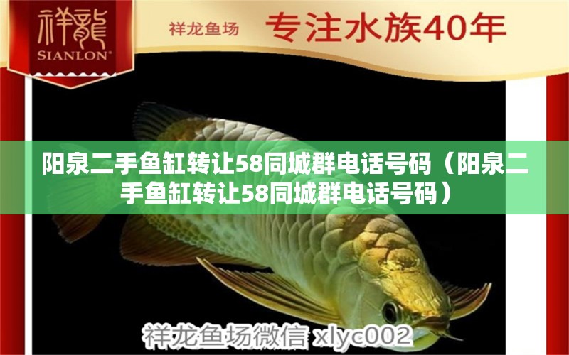 陽泉二手魚缸轉(zhuǎn)讓58同城群電話號碼（陽泉二手魚缸轉(zhuǎn)讓58同城群電話號碼） 狗狗（犬）