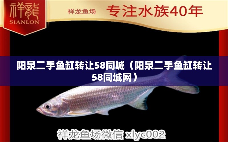 陽(yáng)泉二手魚缸轉(zhuǎn)讓58同城（陽(yáng)泉二手魚缸轉(zhuǎn)讓58同城網(wǎng)）