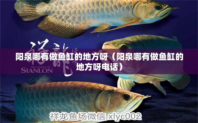 陽泉哪有做魚缸的地方呀（陽泉哪有做魚缸的地方呀電話）