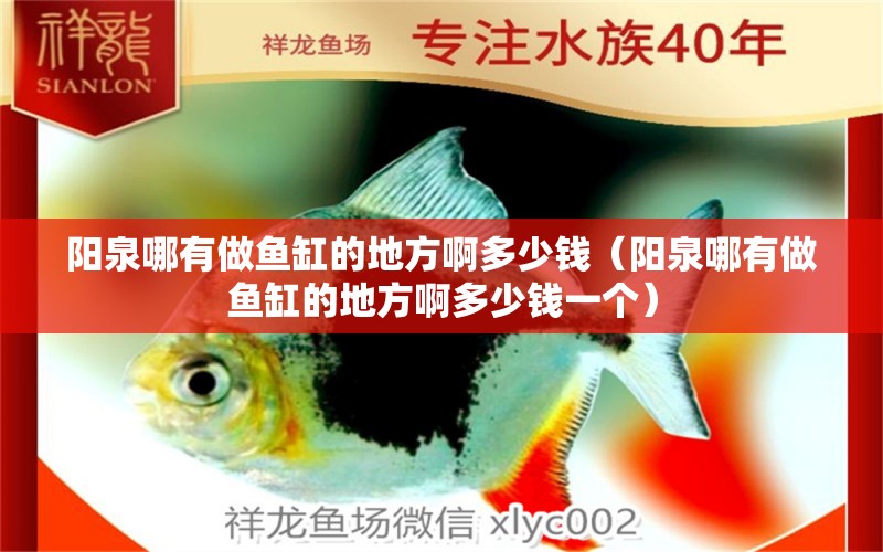 陽泉哪有做魚缸的地方啊多少錢（陽泉哪有做魚缸的地方啊多少錢一個） 觀賞魚市場（混養(yǎng)魚）