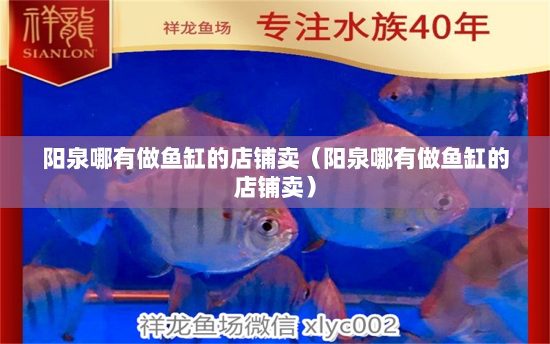 陽泉哪有做魚缸的店鋪賣（陽泉哪有做魚缸的店鋪賣）