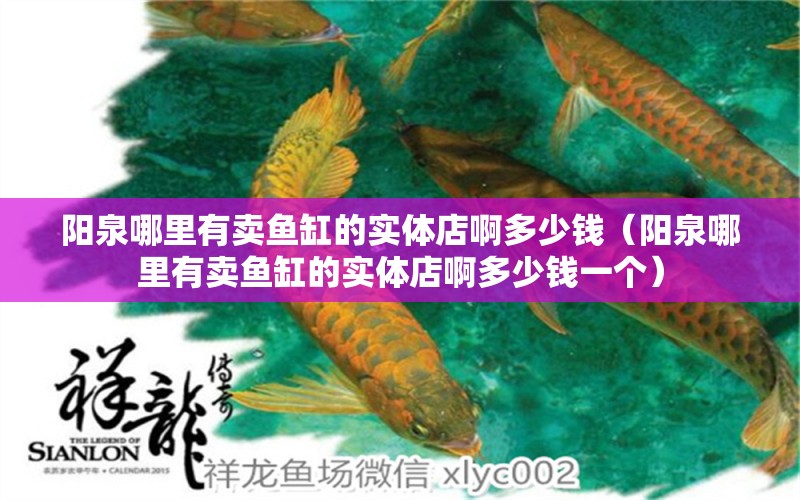 陽泉哪里有賣魚缸的實體店啊多少錢（陽泉哪里有賣魚缸的實體店啊多少錢一個） 祥龍水族醫(yī)院