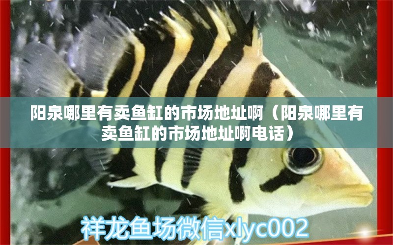 陽泉哪里有賣魚缸的市場(chǎng)地址?。柸睦镉匈u魚缸的市場(chǎng)地址啊電話）