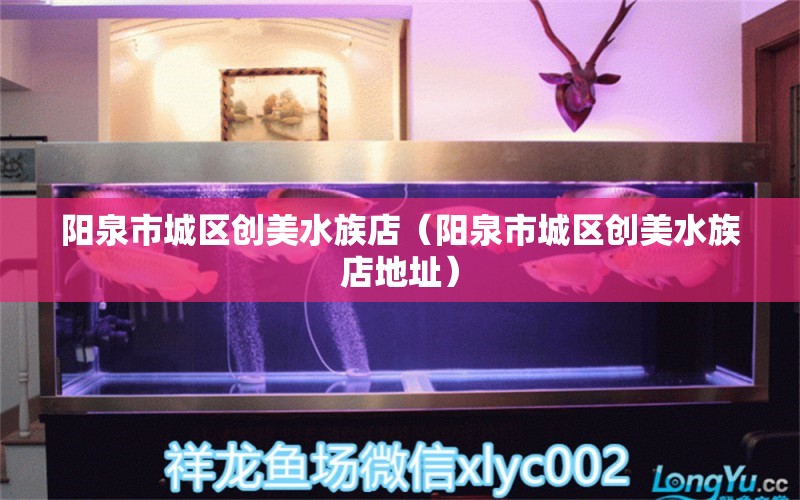 陽(yáng)泉市城區(qū)創(chuàng)美水族店（陽(yáng)泉市城區(qū)創(chuàng)美水族店地址）