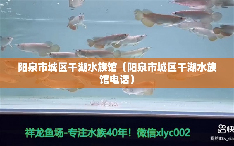 陽泉市城區(qū)千湖水族館（陽泉市城區(qū)千湖水族館電話）