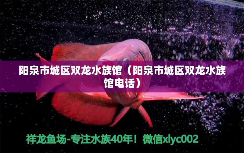 陽泉市城區(qū)雙龍水族館（陽泉市城區(qū)雙龍水族館電話）