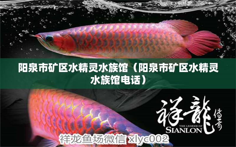 陽(yáng)泉市礦區(qū)水精靈水族館（陽(yáng)泉市礦區(qū)水精靈水族館電話）