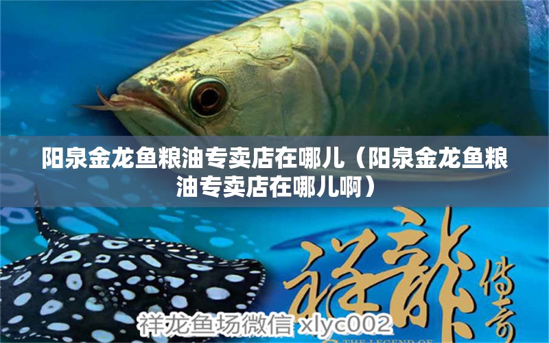 陽泉金龍魚糧油專賣店在哪兒（陽泉金龍魚糧油專賣店在哪兒?。? title=