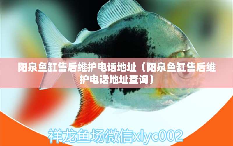 陽泉魚缸售后維護電話地址（陽泉魚缸售后維護電話地址查詢） 其他品牌魚缸