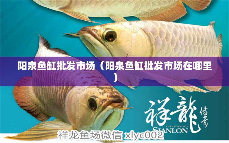 陽泉魚缸批發(fā)市場（陽泉魚缸批發(fā)市場在哪里）