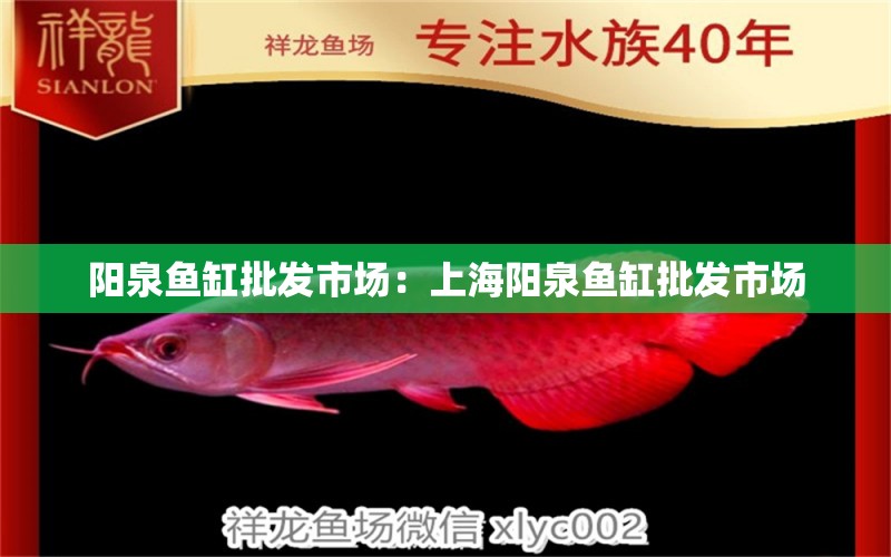 陽泉魚缸批發(fā)市場：上海陽泉魚缸批發(fā)市場 全國觀賞魚市場 第1張