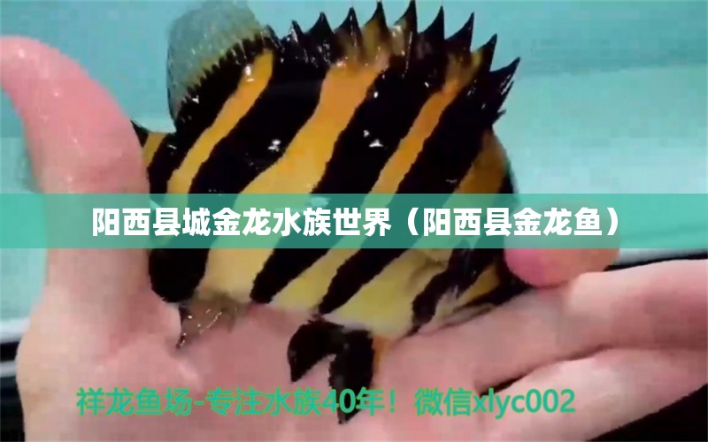 陽西縣城金龍水族世界（陽西縣金龍魚）