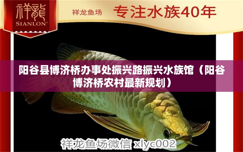 陽(yáng)谷縣博濟(jì)橋辦事處振興路振興水族館（陽(yáng)谷博濟(jì)橋農(nóng)村最新規(guī)劃） 全國(guó)水族館企業(yè)名錄