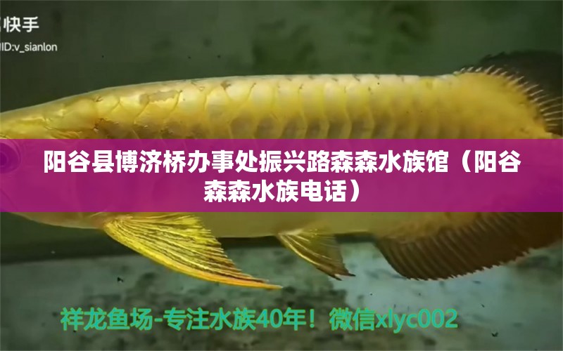 陽谷縣博濟(jì)橋辦事處振興路森森水族館（陽谷森森水族電話）