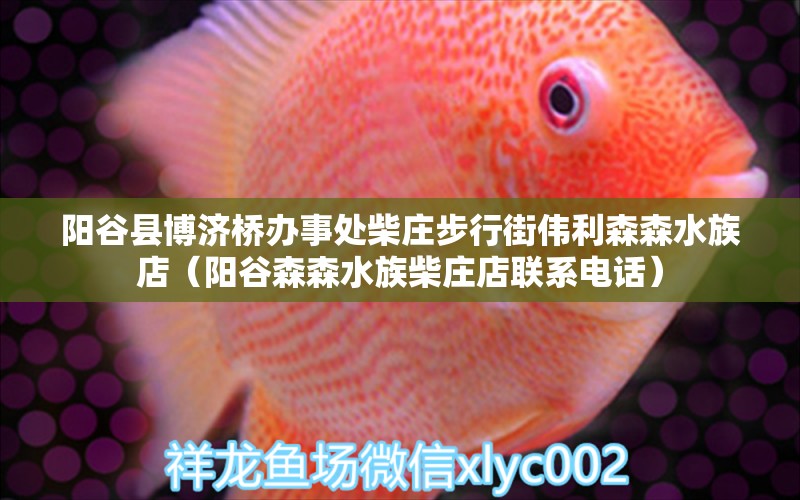 陽(yáng)谷縣博濟(jì)橋辦事處柴莊步行街偉利森森水族店（陽(yáng)谷森森水族柴莊店聯(lián)系電話） 全國(guó)水族館企業(yè)名錄