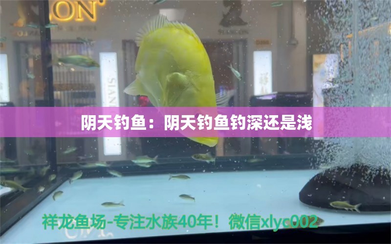 陰天釣魚：陰天釣魚釣深還是淺 垂釣樂園