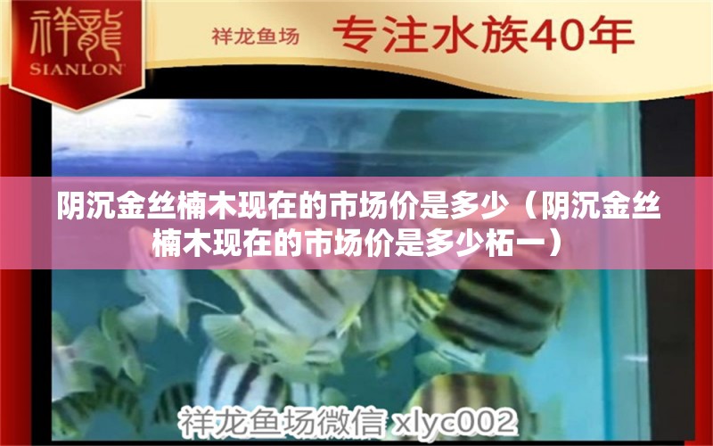 陰沉金絲楠木現(xiàn)在的市場價是多少（陰沉金絲楠木現(xiàn)在的市場價是多少柘一） 文玩